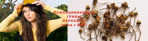 марихуана Арсеньев
