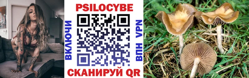 OMG как зайти  Удомля  Галлюциногенные грибы Magic Shrooms 